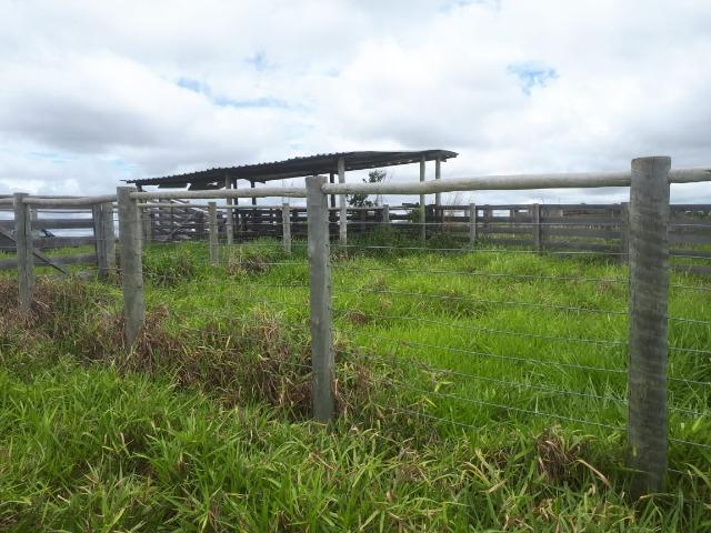 Excelente fazenda em Presidente Olegário/MG- oportunidade - Foto 11