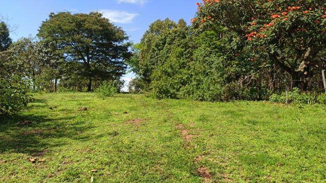 Chácara 2 Alqueires Formada 9 Km Asfalto Corumbá Goiás - Foto 7