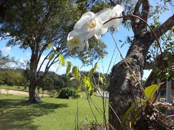 Fazenda à venda, 4190000 m² por R$ 5.600.000,00 - Cidade Nova - Ilhéus/BA - Foto 16
