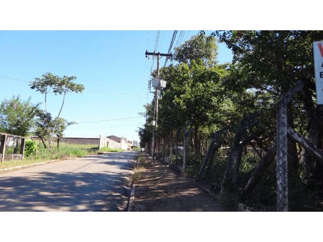 Chácara à venda com 3 dormitórios em Jardim potiguar, Varzea grande cod:15475 - Foto 3