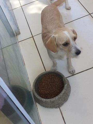 Doação - Foto 5