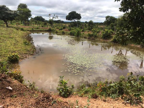 Chácara à venda em Zona rural, Cuiaba cod:21135 - Foto 16