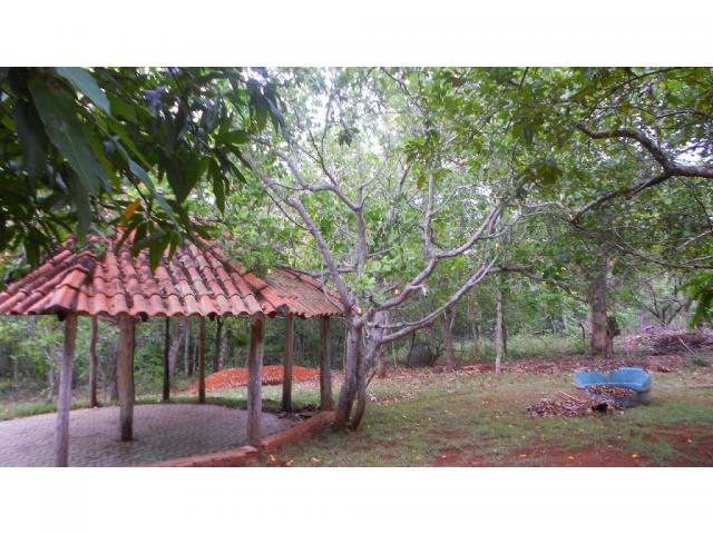 Chácara à venda em Zona rural, Chapada dos guimaraes cod:20937 - Foto 7