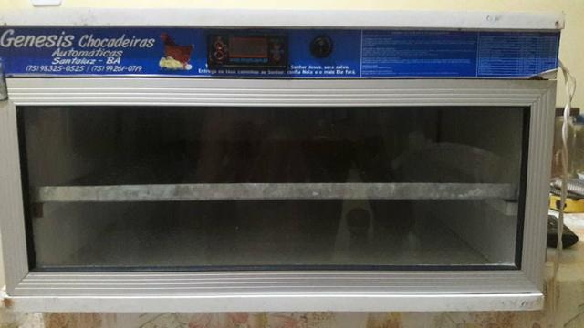 Oportunidade única! Chocadeira 120 ovos 450 reais! - Foto 2