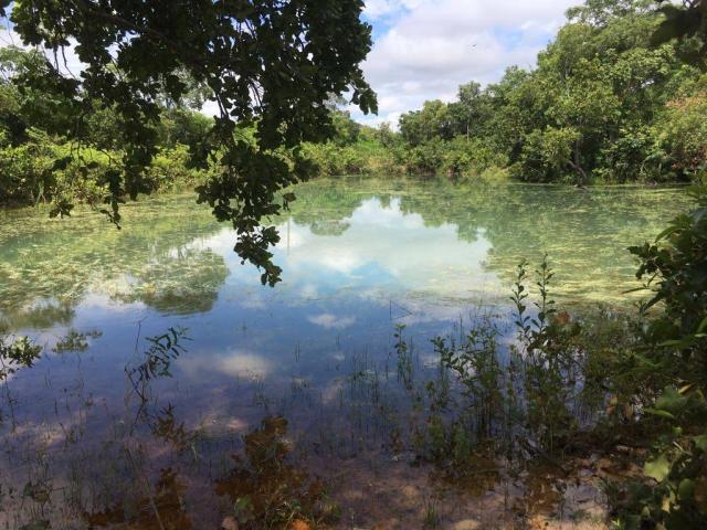 Chácara à venda em Zona rural, Cuiaba cod:21135 - Foto 15