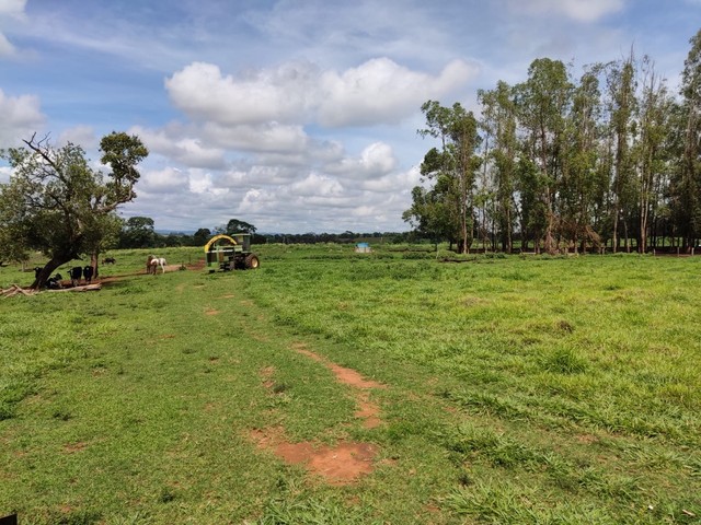 Fazenda de 20 alqueires em Bela vista-Go 