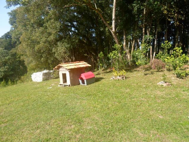 Chácara 32247 m², bem cuidada - Foto 5