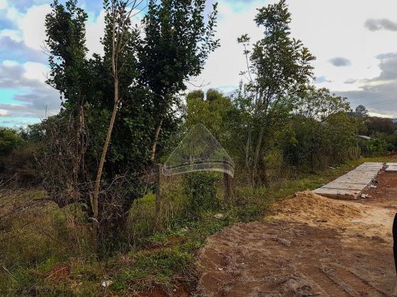 Terreno à venda em Santa marta, Passo fundo cod:10583 - Foto 2