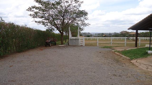 Samuel Pereira oferece: Haras com estrutura pronta, para criadores de bom gosto! - Foto 11