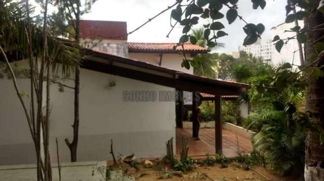 Sítio com 1.600 m2 total com árvores frutíferas - Foto 20