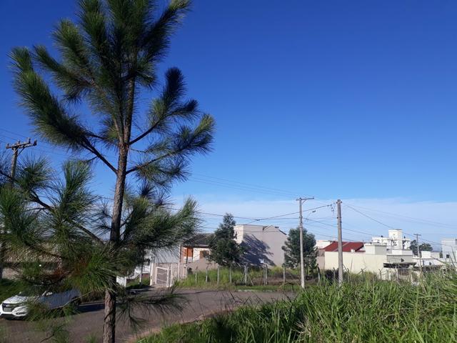 Terreno em bairro Nobre - Foto 3