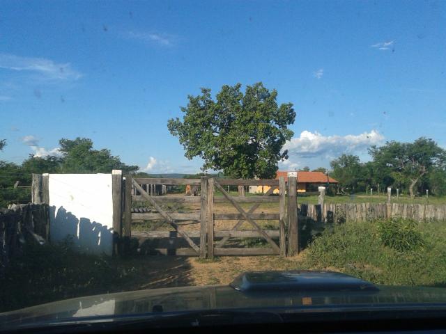Fazenda com 6.000Ha à margem do Rio Preto! Em Mansidão BA. A 60km de Santa R. de Cassia - Foto 20