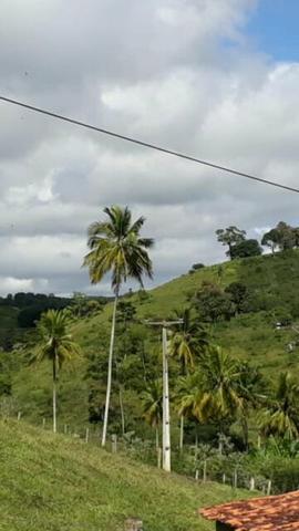 Vendo fazenda itagi ba