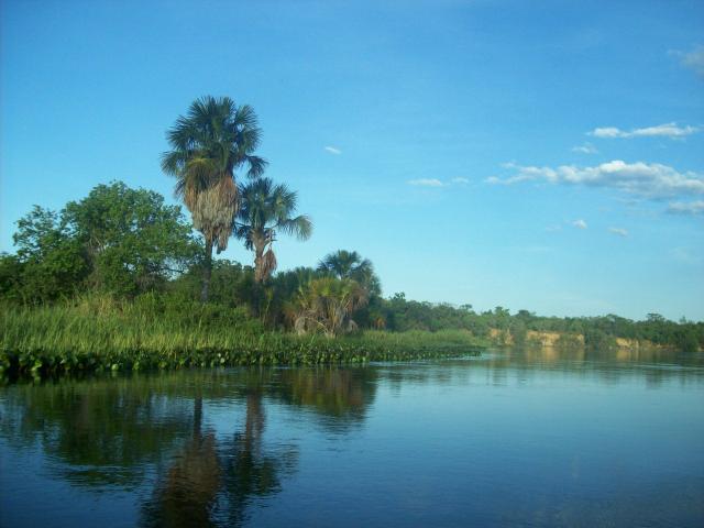 Fazenda com 6.000Ha à margem do Rio Preto! Em Mansidão BA. A 60km de Santa R. de Cassia - Foto 11