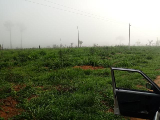Vendo Fazenda em Novo Prigresso/PA - Foto 16