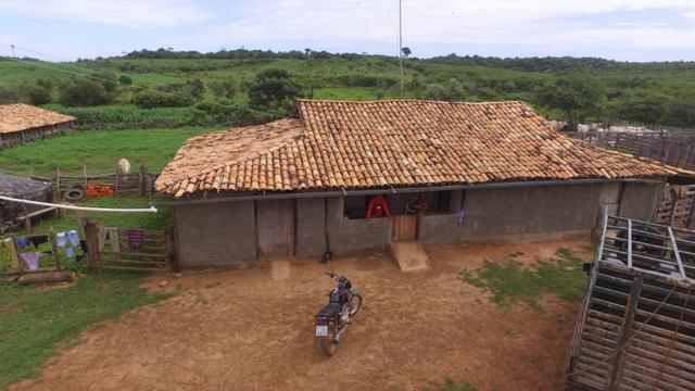 Fazenda em Piracuruca-PI - Foto 2