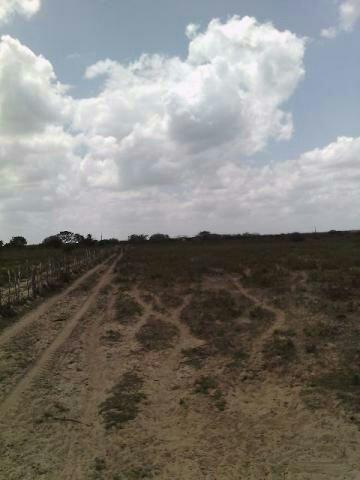 Terra no Sítio Lagoa Redonda Zona Rural de São Pedro RN What * - Foto 4