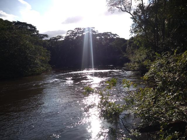 51 alqueires (250 hectares) com 30 alqueires de pasto por 850 mil reais no Pará - Foto 12