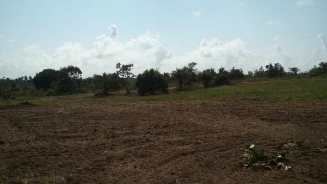 Sitio na Linha Verde (Cidade do Conde) Próximo a rios) - Foto 4