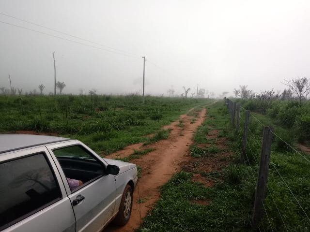 Vendo Fazenda em Novo Prigresso/PA - Foto 10