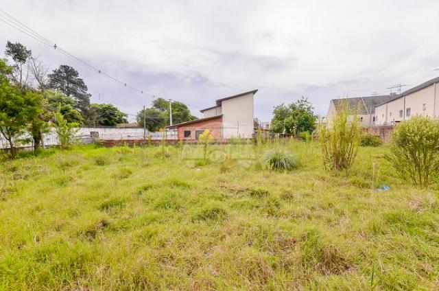 Terreno à venda em Bacacheri, Curitiba cod:142343 - Foto 8