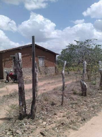 Terra no Sítio Lagoa Redonda Zona Rural de São Pedro RN What * - Foto 9