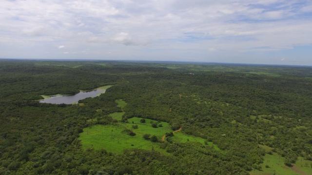 Fazenda em Piracuruca-PI - Foto 8