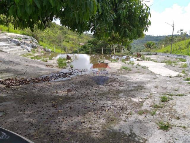 Fazenda com 4 dormitórios à venda, 800000 m² - zona rural - gravatá/pe - Foto 18