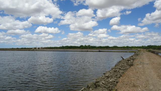Vendo Fazenda para Produção de Camarão e Peixe - Foto 10