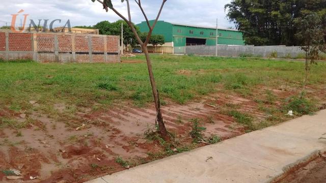Terreno à venda, 250 m² por R$ 80.000 - Jardim Novo Ouro Branco - Foto 3