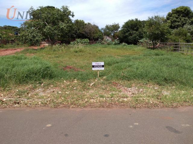 Terreno à venda por R$ 49.000 - Jardim Ipê - Paranavaí/Paraná