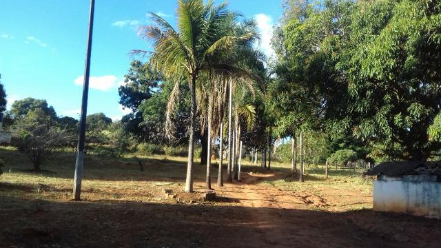 Água Lindas - GO - Foto 20
