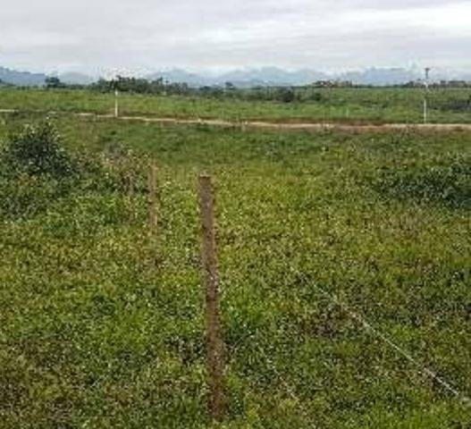 Terreno de 360m2 por R$90mil direto com o proprietário *15 - Foto 6