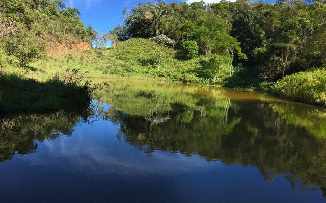 Vendo Sitio/área maravilhosa em Buenos Aires - Foto 8