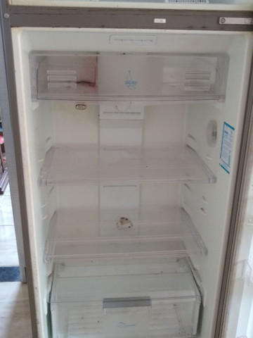 Geladeira continental frost free - Foto 5