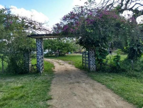 Fazenda à venda, 4190000 m² por R$ 5.600.000,00 - Cidade Nova - Ilhéus/BA - Foto 3