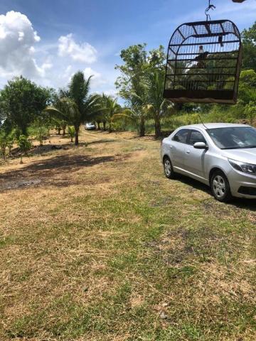 Excelente Oportunidade - Sítio em Passagem de Teixeiras com 29 tarefas por R$ 320.000,00 - - Foto 10