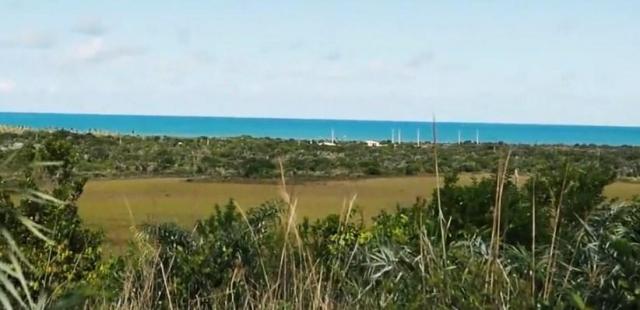 Fazenda à venda, 2100000 m² por R$ 21.000.000,00 - Santo André - Santa Cruz Cabrália/BA - Foto 10