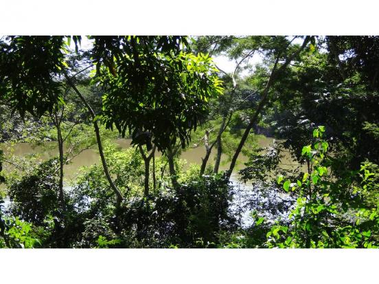 Chácara à venda com 3 dormitórios em Jardim potiguar, Varzea grande cod:15475 - Foto 11