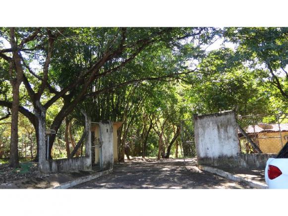 Chácara à venda com 3 dormitórios em Jardim potiguar, Varzea grande cod:15475 - Foto 4