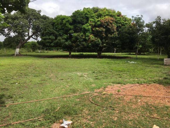 Chácara à venda em Zona rural, Cuiaba cod:21135 - Foto 8