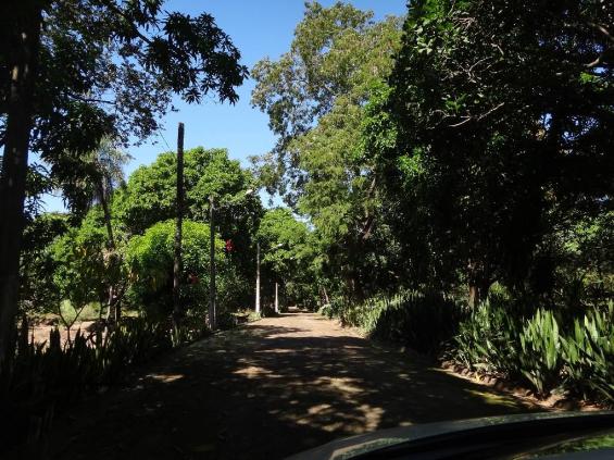 Chácara à venda com 3 dormitórios em Jardim potiguar, Varzea grande cod:15475 - Foto 20