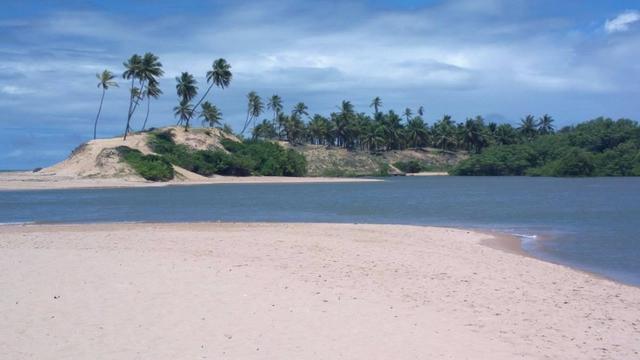 Sítio/ Fazenda no Conde de 33 tarefas com sede rio e lagoa na Linha Verde/ Litoral Norte - Foto 8