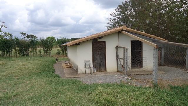 Samuel Pereira oferece: Haras com estrutura pronta, para criadores de bom gosto! - Foto 12