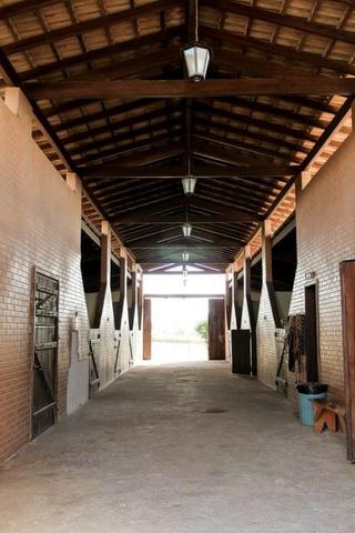 Samuel Pereira oferece: Haras com estrutura pronta, para criadores de bom gosto! - Foto 2