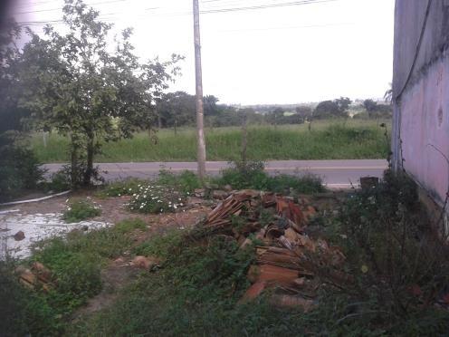 Terreno em humildes - Foto 6