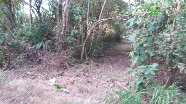 Rancho Barranco Alto - Foto 3