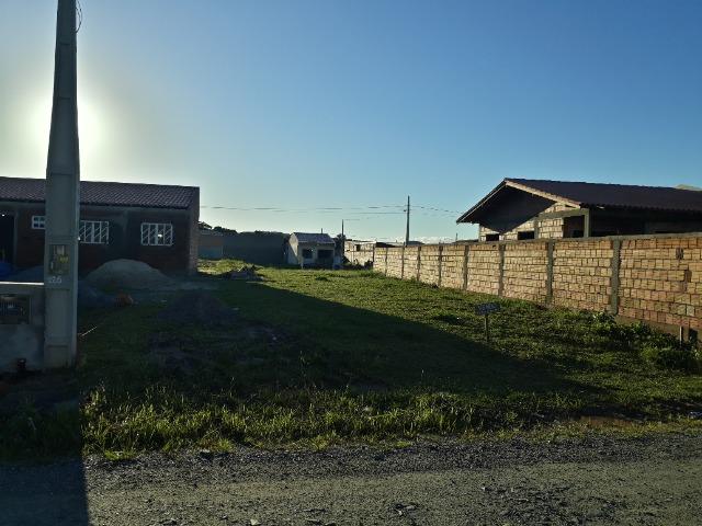 Terreno Araquari - Foto 4