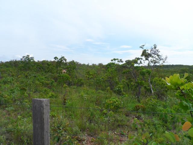 Fazenda na Estrada do Manso 45 Km, de Cuiabá - Foto 13