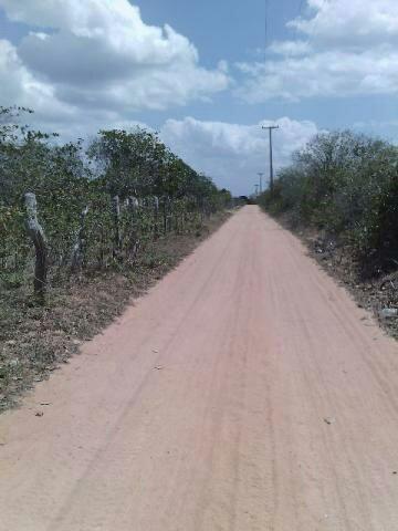 Terra no Sítio Lagoa Redonda Zona Rural de São Pedro RN What * - Foto 8